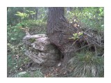 Название: Дружеская поддержка
Фотоальбом: Лесные причуды
Категория: Природа
Фотограф: дануна

Время съемки/редактирования: 2015:10:01 13:01:28
Фотокамера: SAMSUNG - GT-S5830
Диафрагма: f/2.6
Выдержка: 1/33
Фокусное расстояние: 355/100



Просмотров: 936
Комментариев: 0