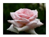 DSC07399_н

Просмотров: 584
Комментариев: 1
