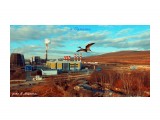 Птичка над Южным...

Просмотров: 1484
Комментариев: 0