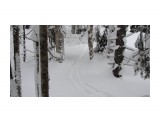 Название: DSC01452
Фотоальбом: В тайге (02.01.12 - 06.01.12)
Категория: Спорт

Время съемки/редактирования: 2012:01:18 09:49:28
Фотокамера: SONY - DSC-H20
Диафрагма: f/3.5
Выдержка: 10/500
Фокусное расстояние: 63/10
Светочуствительность: 80


Просмотров: 929
Комментариев: 0