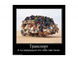 Название: 796428_transport
Фотоальбом: просто приколы
Категория: Юмор

Просмотров: 776
Комментариев: 0