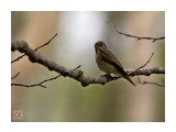 ***
Фотограф: Сергей Букацкий

Просмотров: 1236
Комментариев: 0