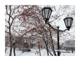 IMG_20170114_134504

Просмотров: 617
Комментариев: 