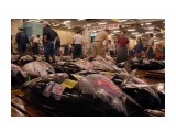 рыбный рынок / тунец
Фотограф: marka

Просмотров: 1348
Комментариев: 0