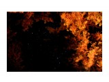 Кусочек звездного неба в еловых кронах
Фотограф: vikirin

Просмотров: 3190
Комментариев: 0