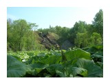 Dscn0378

Просмотров: 614
Комментариев: 0