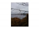Название: 26.10.2014-1
Фотоальбом: Разное
Категория: Рыбалка, охота
Фотограф: Baff2014

Просмотров: 3031
Комментариев: 0