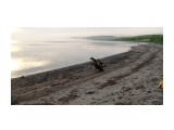 Название: три собаки
Фотоальбом: Разное
Категория: Животные
Фотограф: О.Б.

Время съемки/редактирования: 2010:07:11 19:22:51
Фотокамера: SONY - DSC-TX1
Диафрагма: f/4.5
Выдержка: 10/2000
Фокусное расстояние: 618/100
Светочуствительность: 125


Просмотров: 587
Комментариев: 0