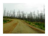 Мертвый лес.. старые горельники
Фотограф: vikirin

Просмотров: 4541
Комментариев: 0