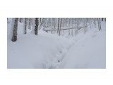Название: DSC01438
Фотоальбом: В тайге (02.01.12 - 06.01.12)
Категория: Рыбалка, охота

Время съемки/редактирования: 2012:01:18 09:48:57
Фотокамера: SONY - DSC-H20
Диафрагма: f/3.5
Выдержка: 10/400
Фокусное расстояние: 63/10
Светочуствительность: 80


Просмотров: 1016
Комментариев: 0