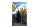 015-к_6

Просмотров: 556
Комментариев: 0
