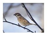 DSC02690_н

Просмотров: 526
Комментариев: 0