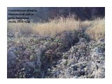 IMG_2018121237
В бассейне р. Амурская ведется добыча угля открытым способом

Просмотров: 2272
Комментариев: 0