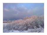 Первый снег 29 октября.. Пушистое утро
Фотограф: vikirin

Просмотров: 3258
Комментариев: 0