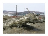 снег

Просмотров: 3308
Комментариев: 0