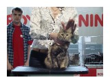 DSC01274

Просмотров: 545
Комментариев: 
