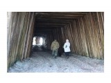 Тоннель почистили и укрепили..
Фотограф: vikirin

Просмотров: 3289
Комментариев: 0