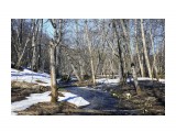 ***

Просмотров: 2936
Комментариев: 0