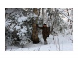 В лесу берендеевском...
Фотограф: vikirin

Просмотров: 2105
Комментариев: 0