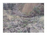 IMG_2018121317
В бассейне р. Амурская ведется добыча угля открытым способом

Просмотров: 2708
Комментариев: 0