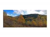 111-пан-к

Просмотров: 659
Комментариев: 0