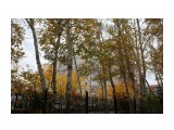 102

Просмотров: 463
Комментариев: 0