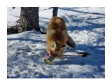 SAM_7113_DxO

Просмотров: 492
Комментариев: 0