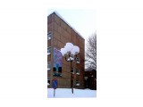 В снегу..
Фотограф: vikirin

Просмотров: 3992
Комментариев: 0