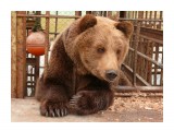 Название: P1080926
Фотоальбом: Крильон 2010
Категория: Животные
Фотограф: Mazila

Время съемки/редактирования: 2010:05:09 19:27:16
Фотокамера: Panasonic - DMC-FZ50
Диафрагма: f/3.2
Выдержка: 10/600
Фокусное расстояние: 119/10
Светочуствительность: 100


Просмотров: 696
Комментариев: 0
