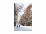 40
Фотограф: 11m

Просмотров: 506
Комментариев: 0