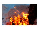 Физика огня.. угадай фигуру..
Фотограф: vikirin

Просмотров: 3845
Комментариев: 0