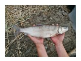 DSCN0893

Просмотров: 614
Комментариев: 1