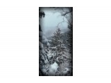 обкатка снегоступов
Фотограф: Федик О.Б.

Просмотров: 537
Комментариев: 0