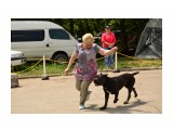 Название: DSC_0375 (1280x853)
Фотоальбом: Выставка собак "Кубок Сахалина 2014"
Категория: Животные
Фотограф: Vitus

Просмотров: 483
Комментариев: 0