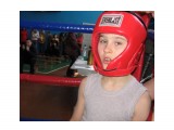 Юный боксёр
Фотограф: сынок
На ринге

Просмотров: 1325
Комментариев: 0