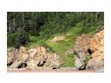 Берег...

Просмотров: 2481
Комментариев: 0