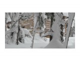 Название: DSC01453
Фотоальбом: В тайге (02.01.12 - 06.01.12)
Категория: Рыбалка, охота

Время съемки/редактирования: 2012:01:18 09:49:35
Фотокамера: SONY - DSC-H20
Диафрагма: f/4.0
Выдержка: 10/1600
Фокусное расстояние: 212/10
Светочуствительность: 400


Просмотров: 991
Комментариев: 0
