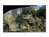 После циклона дорога завалена сломаными лиственницами и елками
Фотограф: vikirin

Просмотров: 1388
Комментариев: 0