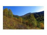 046-пан-к

Просмотров: 662
Комментариев: 0