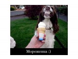 Название: Z8KwzgZFYH4
Фотоальбом: ###
Категория: Разное
Фотограф: zXNtPEIXE.jpg

Просмотров: 648
Комментариев: 0