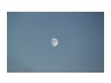 Луна растет..
Фотограф: vikirin

Просмотров: 2799
Комментариев: 0