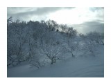 Название: 2010_0108Скала0061
Фотоальбом: Скала
Категория: Природа

Время съемки/редактирования: 2010:01:09 02:25:42
Фотокамера: FUJIFILM - FinePix F40fd  
Диафрагма: f/8.0
Выдержка: 10/20000
Фокусное расстояние: 800/100
Светочуствительность: 100


Просмотров: 705
Комментариев: 0