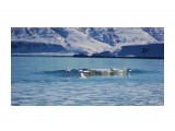 DSCN1852

Просмотров: 292
Комментариев: 0