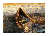 Железяка

Просмотров: 2497
Комментариев: 0