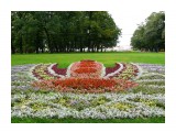 клумба

Просмотров: 2784
Комментариев: 0