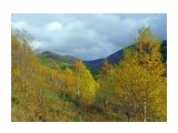 168-к

Просмотров: 649
Комментариев: 0