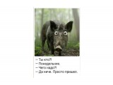 Название: Красавэлла :)))
Фотоальбом: Хахашечки хаха
Категория: Юмор

Просмотров: 637
Комментариев: 0