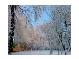 Первый снег 29 октября.. Пушистое утро
Фотограф: vikirin

Просмотров: 2940
Комментариев: 0