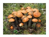 *7

Просмотров: 2885
Комментариев: 0