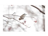:)

Просмотров: 264
Комментариев: 1